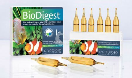 BioDigest 1 AMPUŁKA