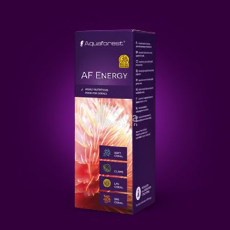 AF Energy