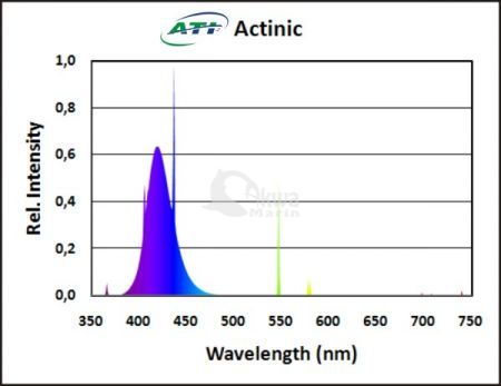 Świetlówka ATI - Actinic